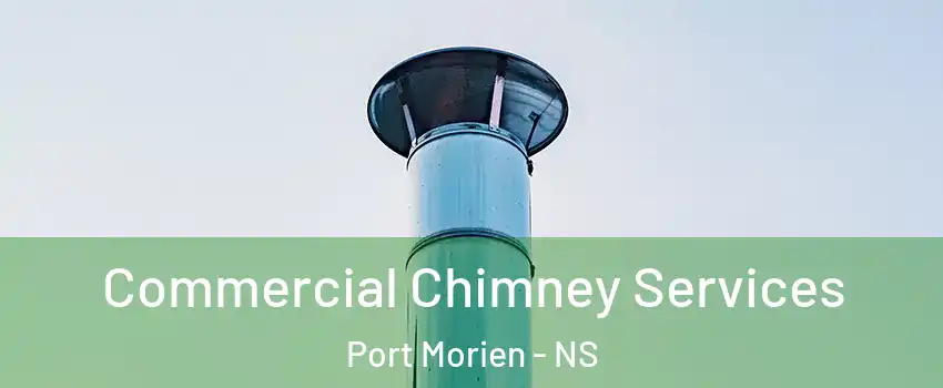  Commercial Chimney Services Port Morien - NS