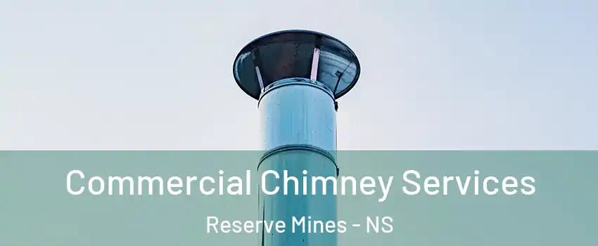  Commercial Chimney Services Reserve Mines - NS