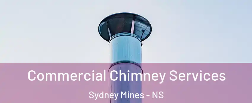  Commercial Chimney Services Sydney Mines - NS