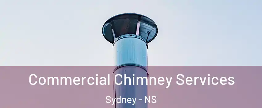  Commercial Chimney Services Sydney - NS