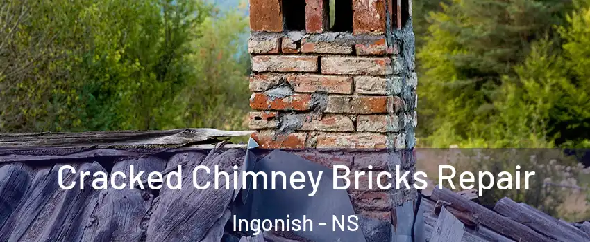  Cracked Chimney Bricks Repair Ingonish - NS