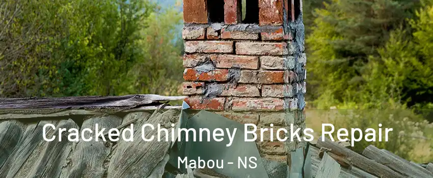  Cracked Chimney Bricks Repair Mabou - NS