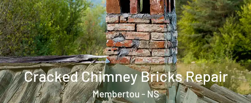  Cracked Chimney Bricks Repair Membertou - NS