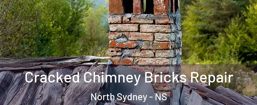  Cracked Chimney Bricks Repair North Sydney - NS