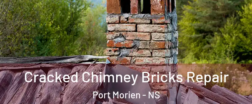  Cracked Chimney Bricks Repair Port Morien - NS