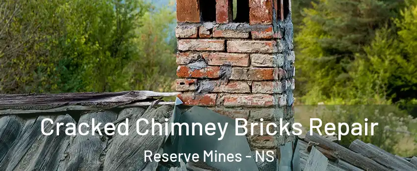  Cracked Chimney Bricks Repair Reserve Mines - NS