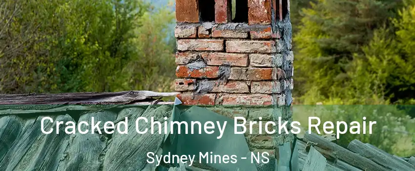  Cracked Chimney Bricks Repair Sydney Mines - NS
