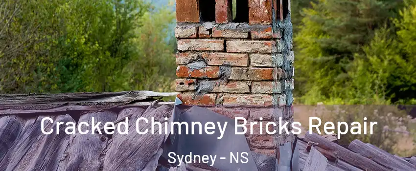  Cracked Chimney Bricks Repair Sydney - NS