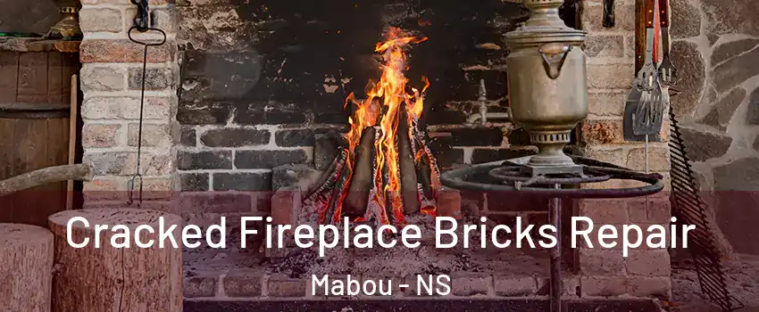  Cracked Fireplace Bricks Repair Mabou - NS