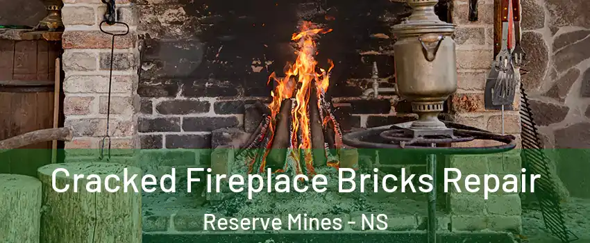  Cracked Fireplace Bricks Repair Reserve Mines - NS