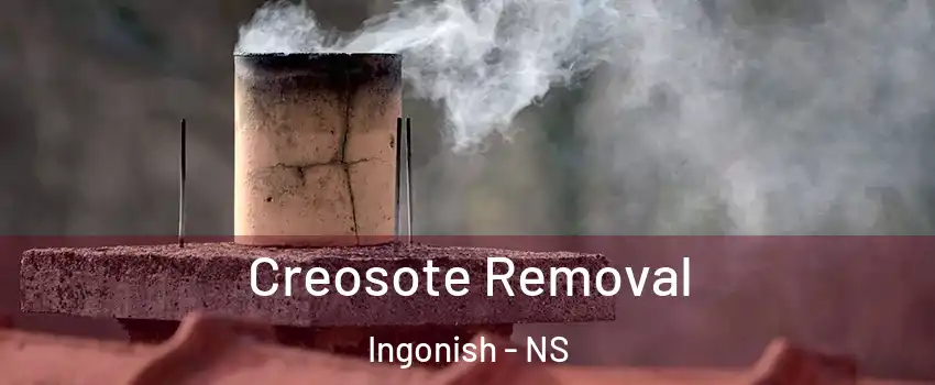  Creosote Removal Ingonish - NS