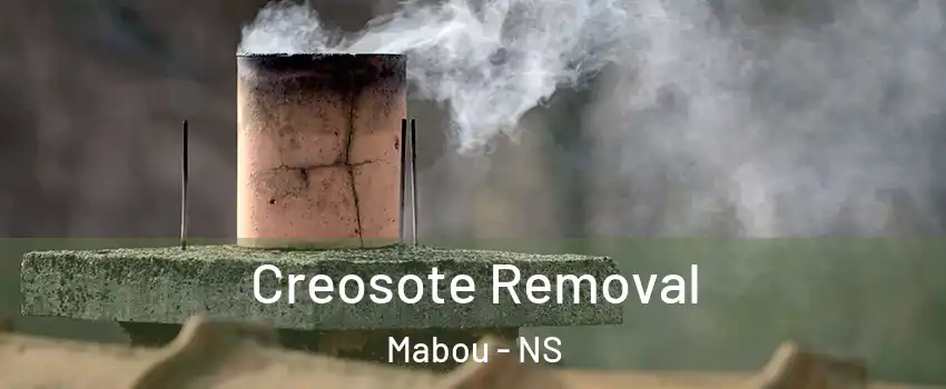  Creosote Removal Mabou - NS