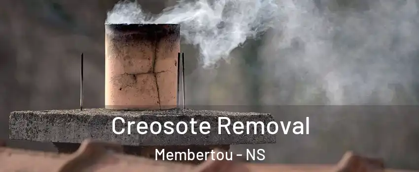  Creosote Removal Membertou - NS