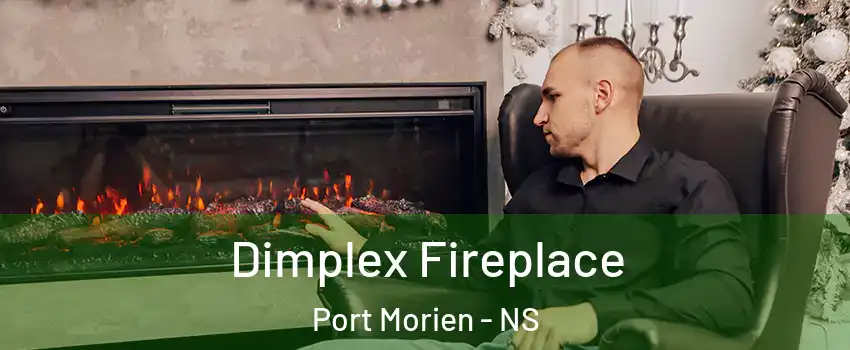  Dimplex Fireplace Port Morien - NS