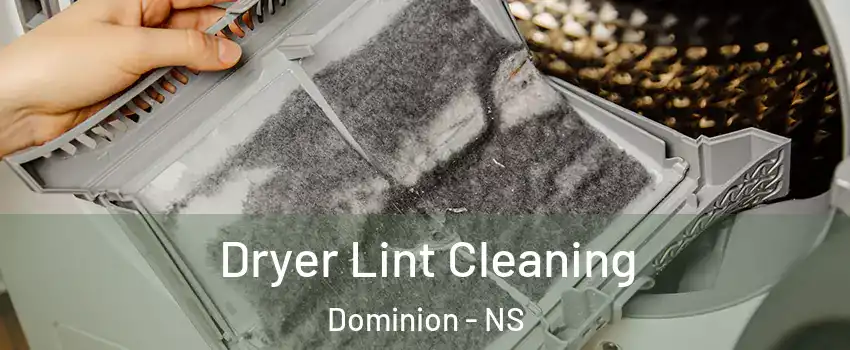  Dryer Lint Cleaning Dominion - NS