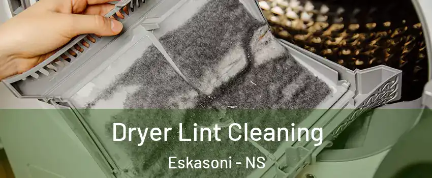  Dryer Lint Cleaning Eskasoni - NS