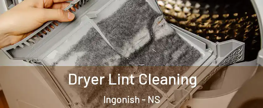  Dryer Lint Cleaning Ingonish - NS