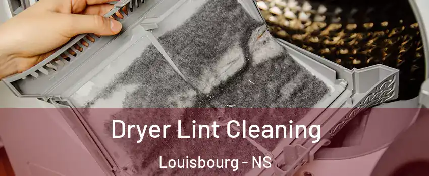  Dryer Lint Cleaning Louisbourg - NS