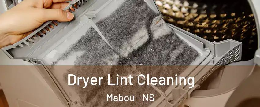  Dryer Lint Cleaning Mabou - NS