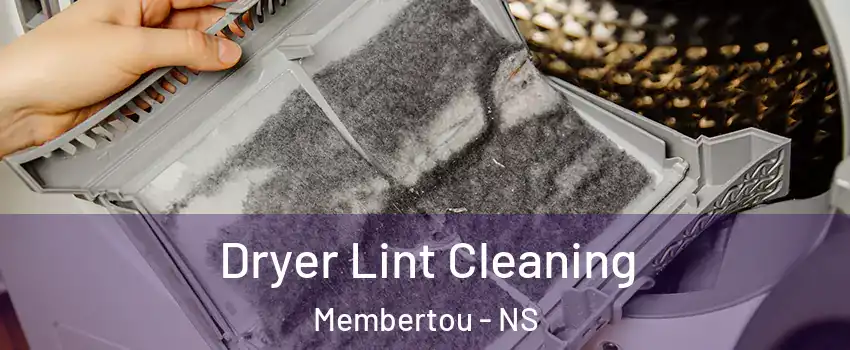  Dryer Lint Cleaning Membertou - NS
