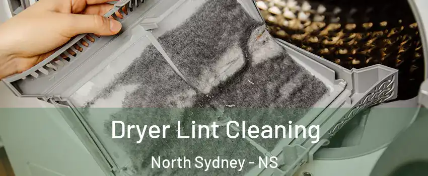  Dryer Lint Cleaning North Sydney - NS