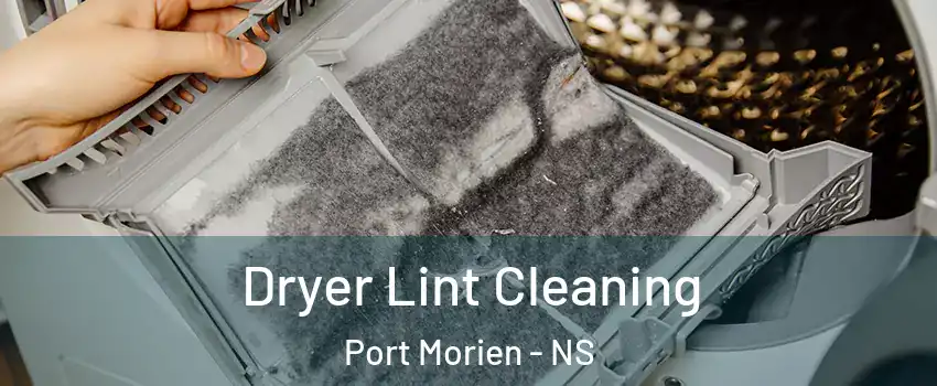  Dryer Lint Cleaning Port Morien - NS