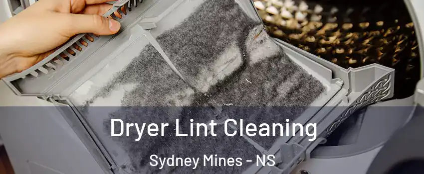  Dryer Lint Cleaning Sydney Mines - NS