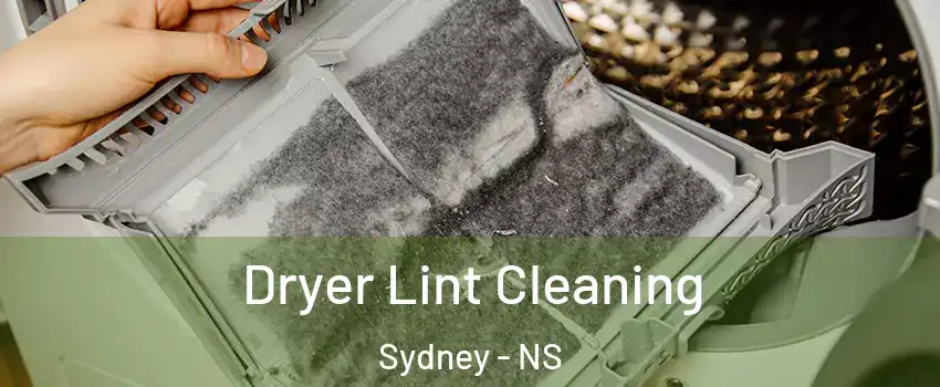  Dryer Lint Cleaning Sydney - NS