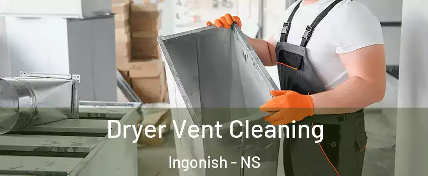  Dryer Vent Cleaning Ingonish - NS