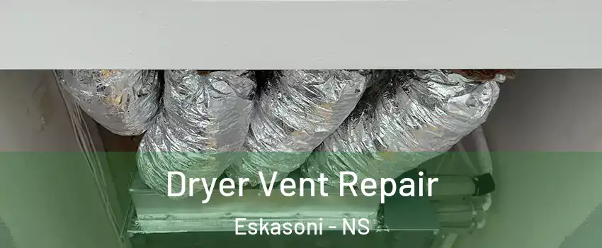  Dryer Vent Repair Eskasoni - NS