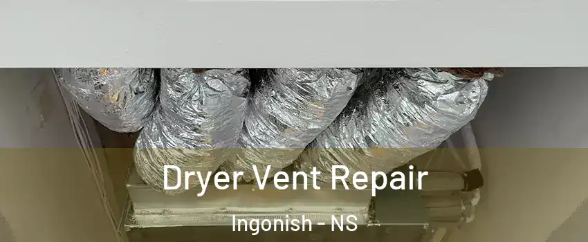  Dryer Vent Repair Ingonish - NS