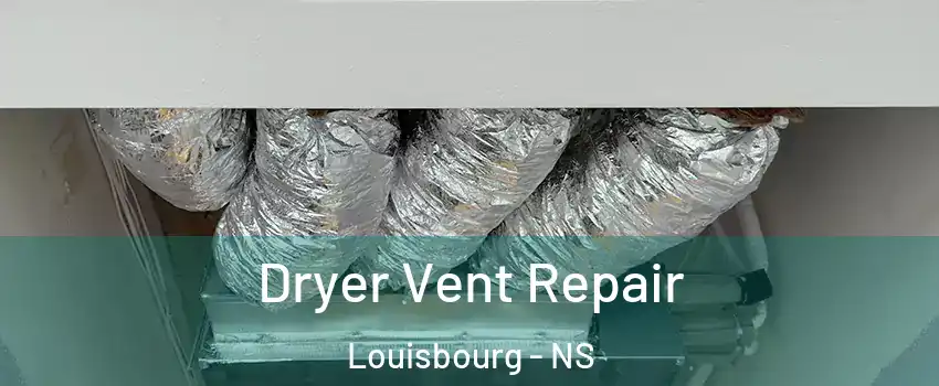  Dryer Vent Repair Louisbourg - NS