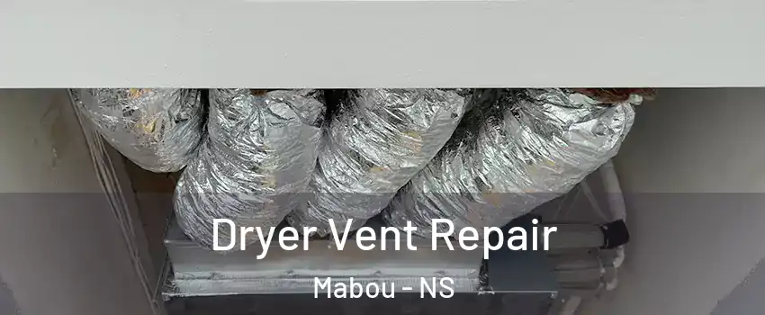  Dryer Vent Repair Mabou - NS