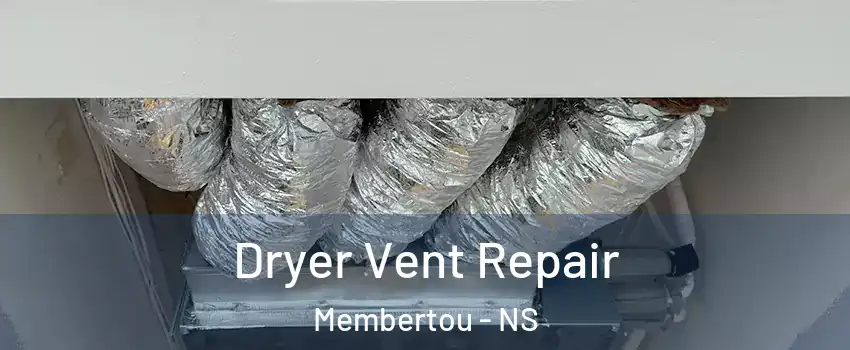  Dryer Vent Repair Membertou - NS
