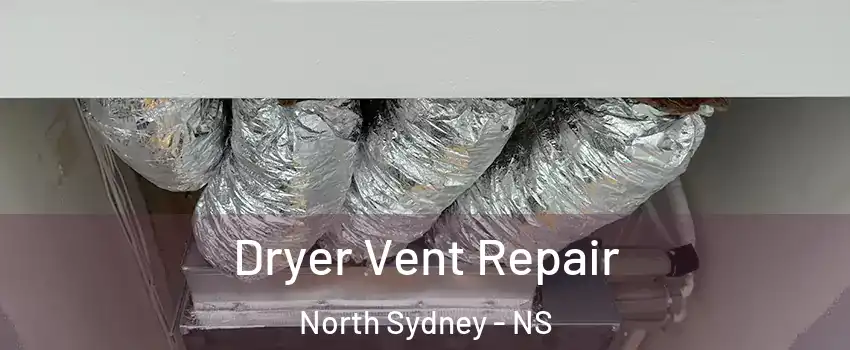  Dryer Vent Repair North Sydney - NS