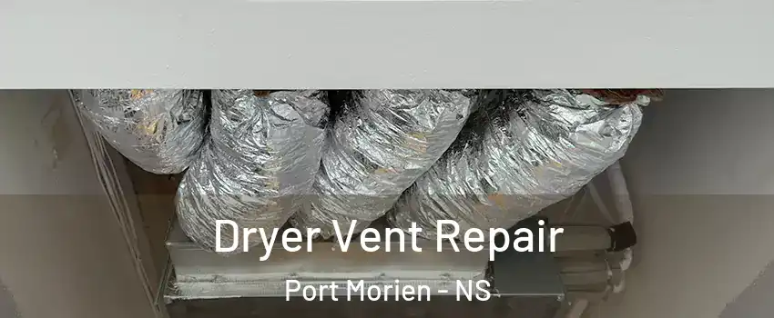  Dryer Vent Repair Port Morien - NS