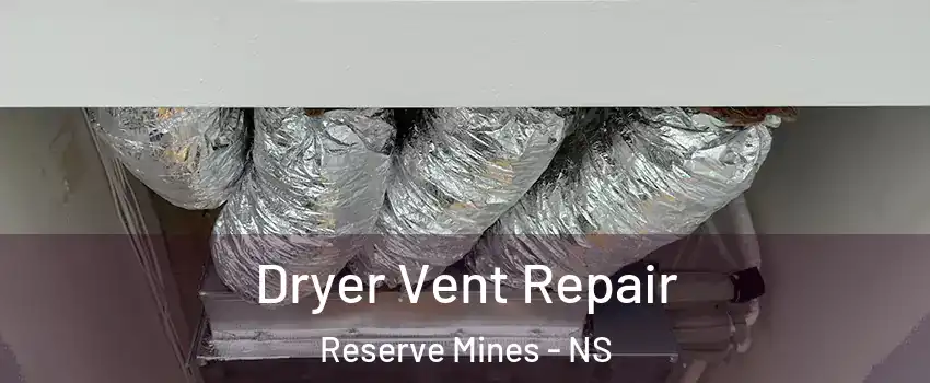  Dryer Vent Repair Reserve Mines - NS