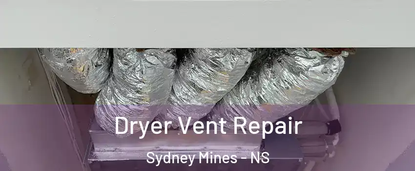  Dryer Vent Repair Sydney Mines - NS