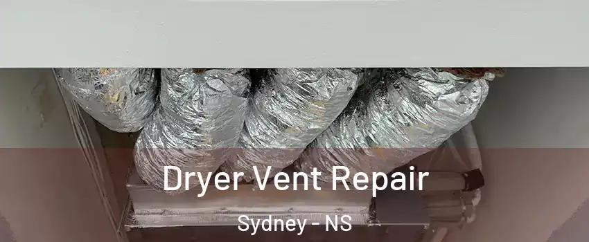  Dryer Vent Repair Sydney - NS