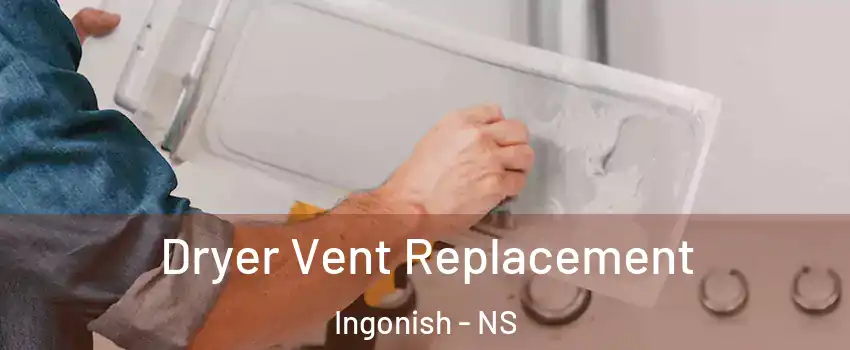  Dryer Vent Replacement Ingonish - NS