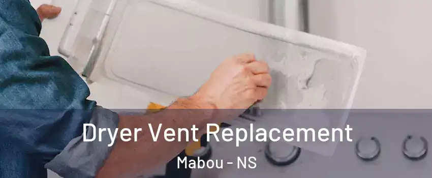  Dryer Vent Replacement Mabou - NS