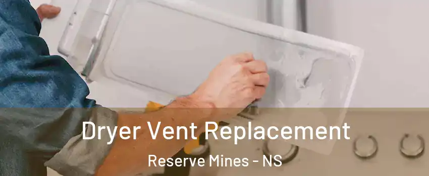  Dryer Vent Replacement Reserve Mines - NS