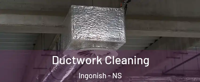  Ductwork Cleaning Ingonish - NS