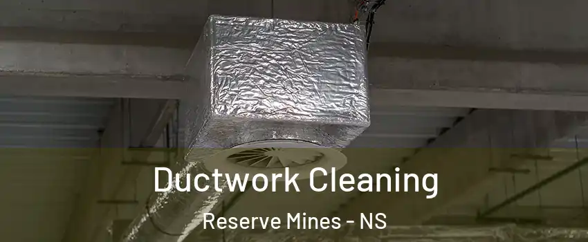  Ductwork Cleaning Reserve Mines - NS