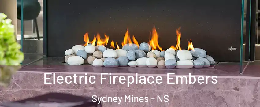  Electric Fireplace Embers Sydney Mines - NS