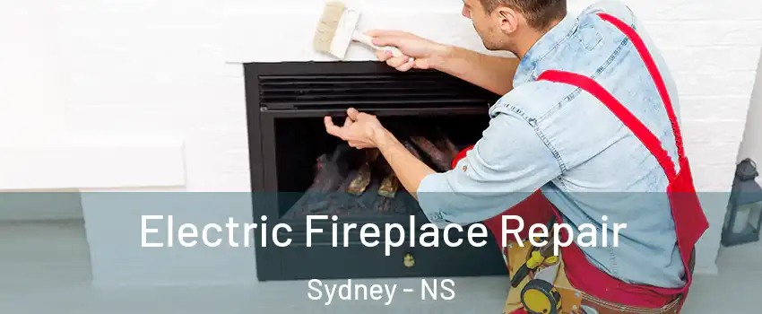  Electric Fireplace Repair Sydney - NS