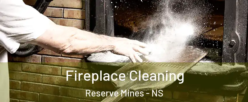  Fireplace Cleaning Reserve Mines - NS
