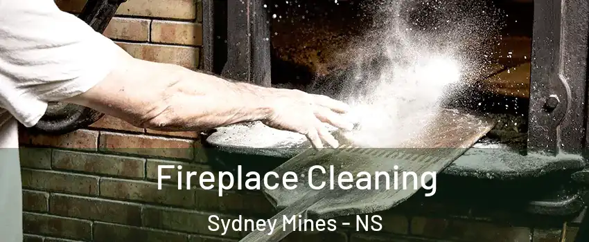  Fireplace Cleaning Sydney Mines - NS