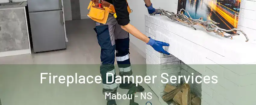  Fireplace Damper Services Mabou - NS