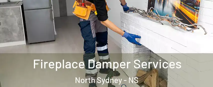 Fireplace Damper Services North Sydney - NS